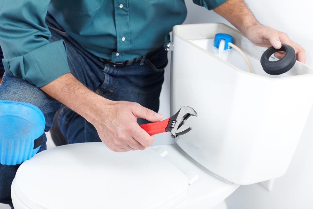 Toilet Repair and Replacement